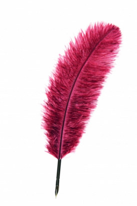 Перо гусиное декор. 27-30 см ассорти 1 шт. блистер